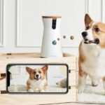 Keep Tabs On Your Furry Friends With The Best Pet Cameras