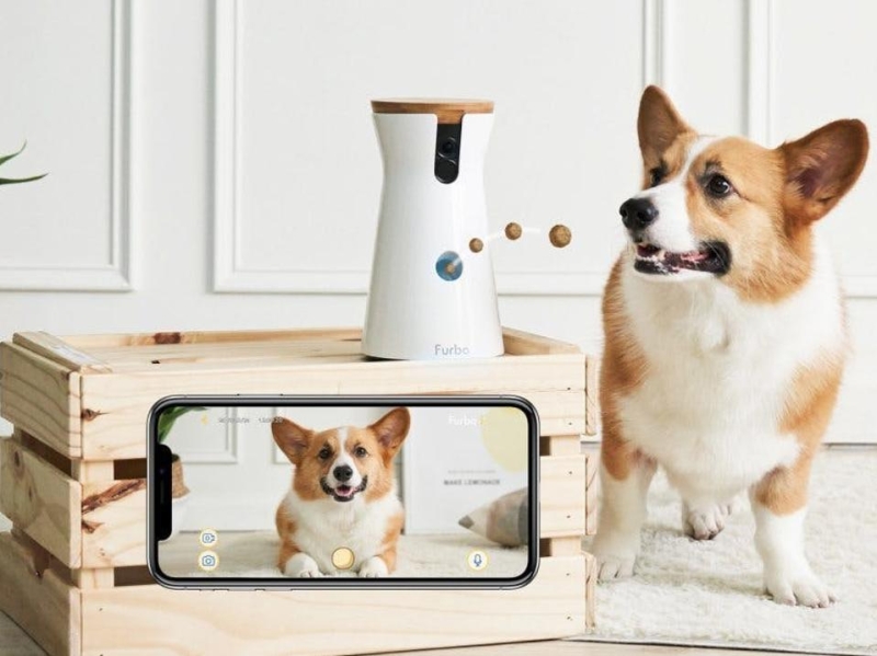 Keep Tabs On Your Furry Friends With The Best Pet Cameras