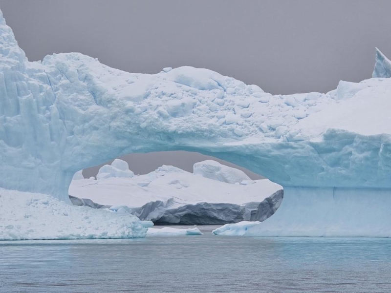 The Tech Wrangler: Cameraphones Compared In Antarctica